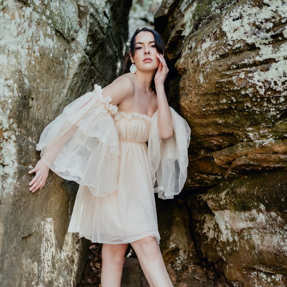 Beige Tulle Off The Shoulder Dress